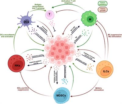 Tissue-Resident Innate Immune Cell-Based Therapy: A Cornerstone of Immunotherapy Strategies for Cancer Treatment